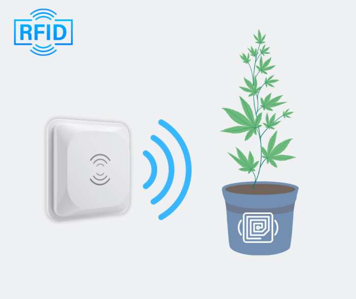 oznaczanie konopi rfid